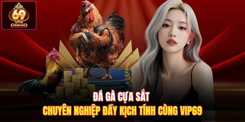 Đá Gà Cựa Sắt Chuyên Nghiệp Đầy Kịch Tính Cùng Vip69
