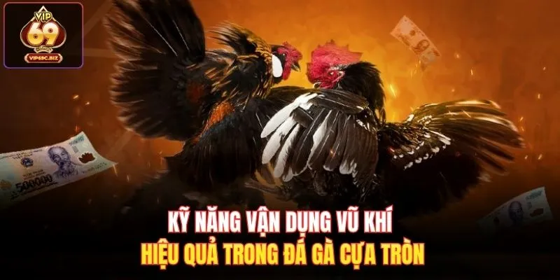 Kỹ năng vận dụng vũ khí hiệu quả trong đá gà cựa tròn 